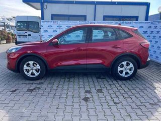 FORD Kuga 1.5 EcoBlue 120 CV 2WD Connect