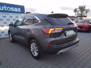 FORD Kuga 1.5 EcoBlue 120 CV aut. 2WD Titanium