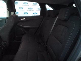 FORD Kuga 1.5 EcoBlue 120 CV aut. 2WD Titanium