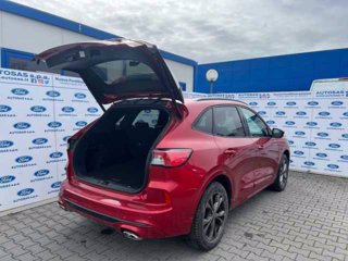 FORD Kuga 2.5 Plug In Hybrid 225 CV CVT 2WD ST-Line X