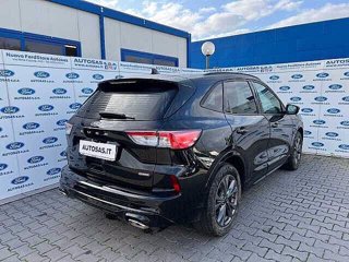 FORD Kuga 2.5 Full Hybrid 190 CV CVT 2WD ST-Line