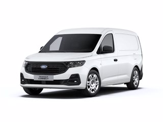 FORD Transit connect v761 2.0 diesel 102cv l2h1 trend