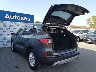 FORD Kuga 1.5 EcoBlue 120 CV 2WD Titanium