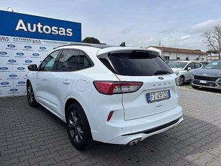 FORD Kuga 1.5 EcoBlue 120 CV 2WD ST-Line X