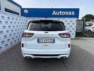 FORD Kuga 1.5 EcoBlue 120 CV 2WD ST-Line X