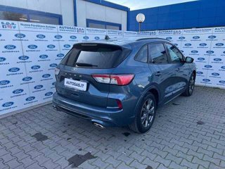 FORD Kuga 1.5 EcoBlue 120 CV 2WD ST-Line