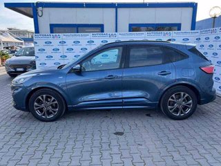 FORD Kuga 1.5 EcoBlue 120 CV 2WD ST-Line