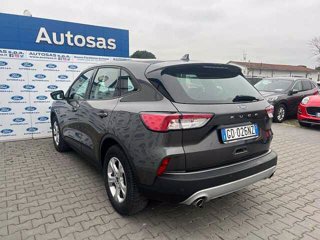 FORD Kuga 1.5 EcoBlue 120 CV 2WD Connect