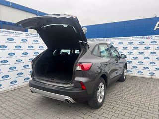 FORD Kuga 1.5 EcoBlue 120 CV 2WD Connect