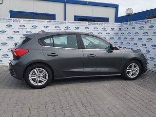 FORD Focus 1.5 EcoBlue 120 CV automatico 5p. Business Co-Pilot