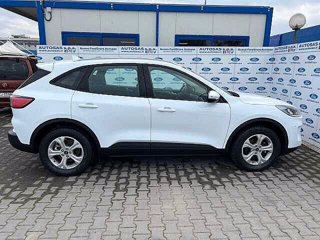 FORD Kuga 1.5 EcoBlue 120 CV aut. 2WD Connect