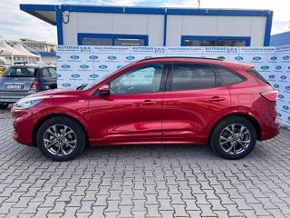 FORD Kuga 1.5 EcoBoost 150 CV 2WD ST-Line X