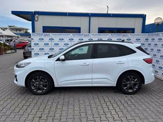 FORD Kuga 2.5 Plug In Hybrid 225 CV CVT 2WD ST-Line X