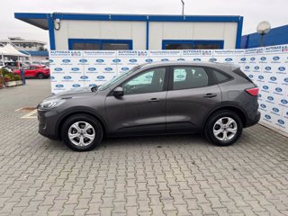 FORD Kuga 1.5 EcoBlue 120 CV 2WD Connect