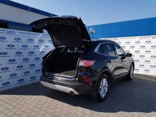 FORD Kuga 1.5 EcoBlue 120 CV aut. 2WD Titanium