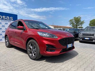 FORD Kuga 2.5 Plug In Hybrid 225 CV CVT 2WD ST-Line X