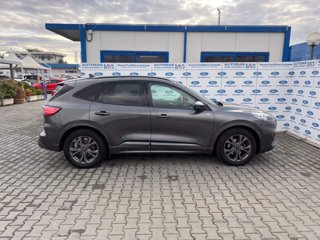 FORD Kuga 2.0 EcoBlue 120CV aut. 2WD ST-Line X