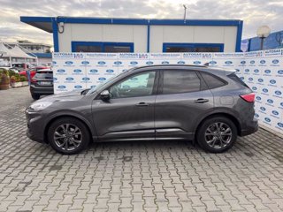 FORD Kuga 2.0 EcoBlue 120CV aut. 2WD ST-Line X