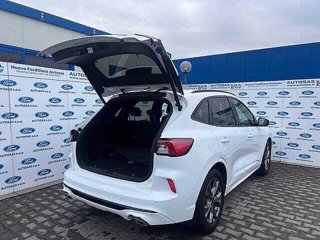 FORD Kuga 2.5 Plug In Hybrid 225 CV CVT 2WD ST-Line X