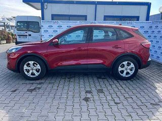 FORD Kuga 1.5 EcoBlue 120 CV 2WD Connect