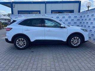 FORD Kuga 1.5 EcoBlue 120 CV 2WD Titanium Business