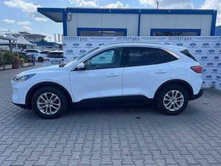 FORD Kuga 1.5 EcoBlue 120 CV 2WD Titanium Business