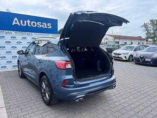 FORD Kuga 1.5 EcoBlue 120 CV 2WD ST-Line