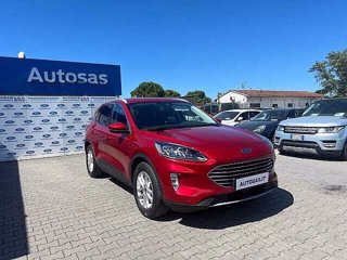 FORD Kuga 1.5 EcoBlue 120 CV 2WD Titanium X