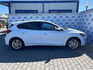 FORD Focus 1.0 EcoBoost 100 CV 5p. Business