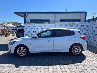 FORD Focus 1.0 EcoBoost 100 CV 5p. Business