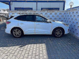 FORD Kuga 1.5 EcoBlue 120 CV 2WD ST-Line