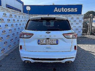 FORD Kuga 1.5 EcoBlue 120 CV 2WD ST-Line