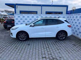 FORD Kuga 1.5 EcoBoost 150 CV 2WD ST-Line