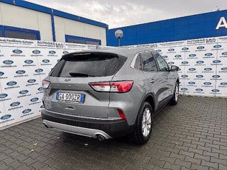 FORD Kuga 1.5 EcoBlue 120 CV 2WD Titanium