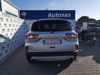 FORD Kuga 1.5 EcoBlue 120 CV 2WD Titanium