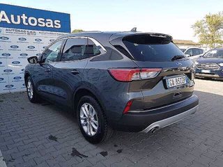 FORD Kuga 1.5 EcoBlue 120 CV 2WD Titanium