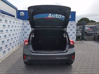 FORD Focus 1.5 EcoBlue 120 CV automatico 5p. Business Co-Pilot