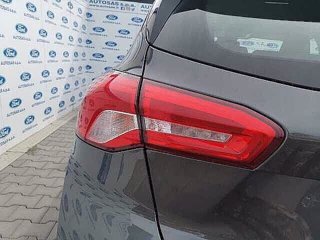 FORD Focus 1.5 EcoBlue 120 CV automatico 5p. Business Co-Pilot