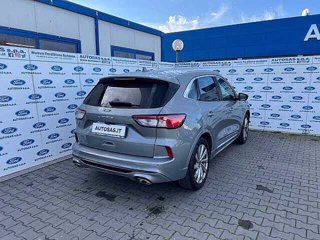 FORD Kuga 2.0 EcoBlue 190 CV aut. AWD ST-Line