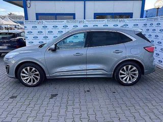 FORD Kuga 2.0 EcoBlue 190 CV aut. AWD ST-Line