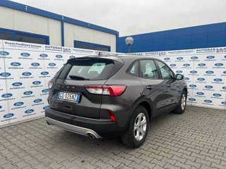 FORD Kuga 1.5 EcoBlue 120 CV 2WD Connect