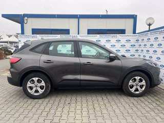 FORD Kuga 1.5 EcoBlue 120 CV 2WD Connect