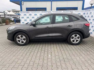 FORD Kuga 1.5 EcoBlue 120 CV 2WD Connect