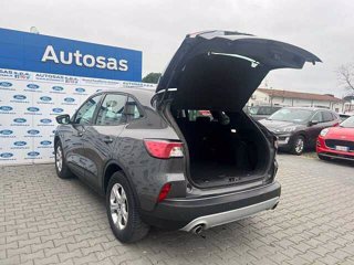 FORD Kuga 1.5 EcoBlue 120 CV 2WD Connect