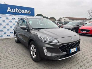 FORD Kuga 1.5 EcoBlue 120 CV 2WD Connect