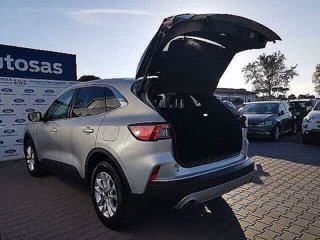 FORD Kuga 1.5 EcoBlue 120 CV 2WD Titanium