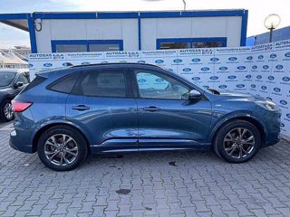 FORD Kuga 1.5 EcoBlue 120 CV 2WD ST-Line