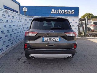 FORD Kuga 1.5 EcoBlue 120 CV 2WD Titanium