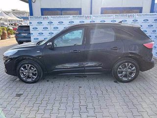 FORD Kuga 1.5 EcoBlue 120 CV aut. 2WD ST-Line X