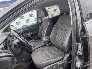 FORD Kuga 1.5 TDCI 120 CV S&S 2WD Powershift Edition